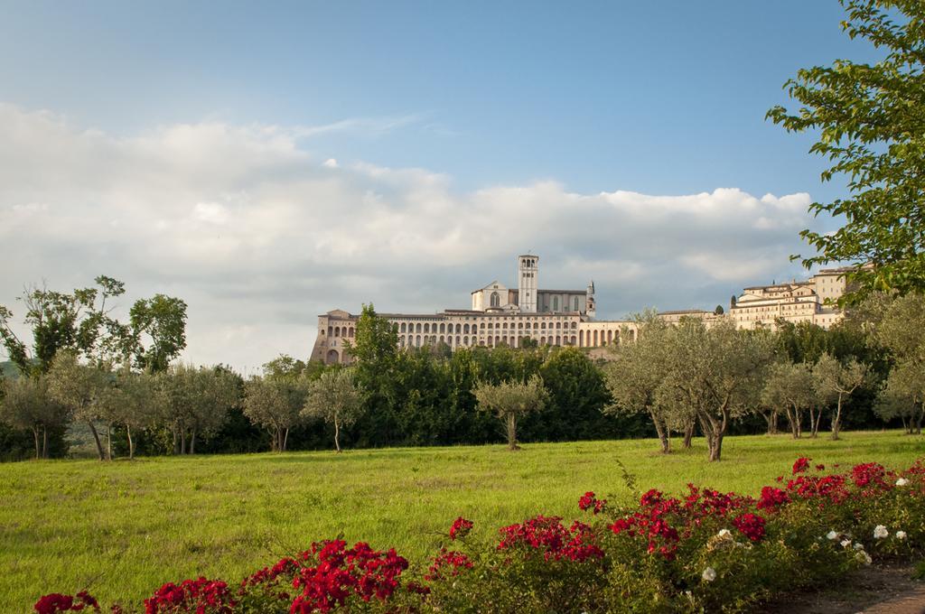 Assisi Garden Hotel Buitenkant foto